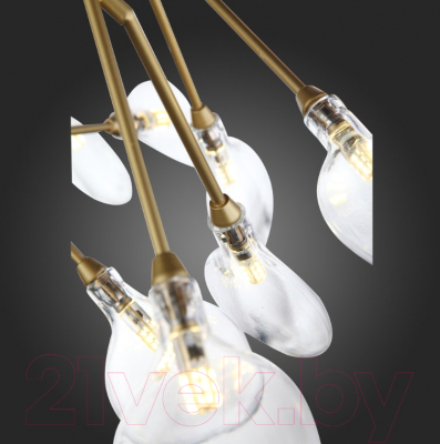 Люстра ST Luce Riccardo SL411.203.45