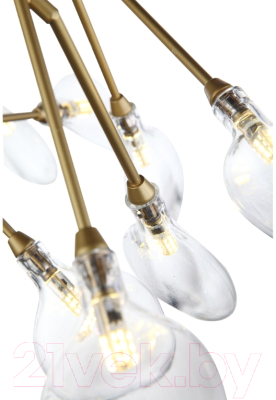 Люстра ST Luce Riccardo SL411.203.45