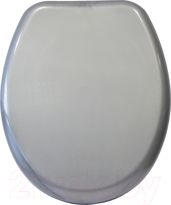 Сиденье для унитаза Bisk 05867 - фото