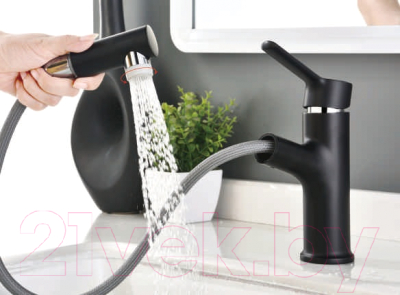 Смеситель Ledeme L1055B-25