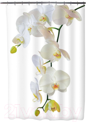 Шторка-занавеска для ванны FORA Магия PH22 - фото