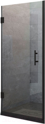 Душевая дверь RGW HO-011-B / 350601109-14 - фото