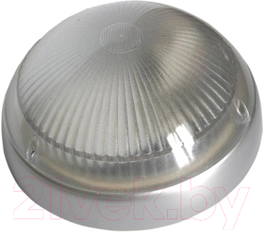 Светильник ЖКХ Элект Сириус 1 НББ 07-60-001 - фото