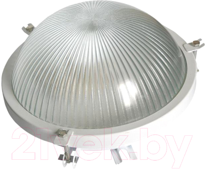 Светильник ЖКХ Элект НПП 03-100-001 - фото