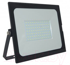 Прожектор General Lighting GTAB-100Вт-IP65-6500 / 403114 - фото