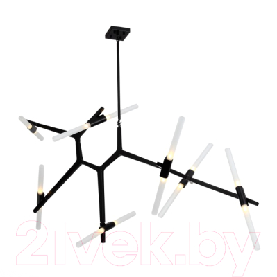 Люстра ST Luce Laconicita SL947.402.14 - фото