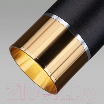 Потолочный светильник Elektrostandard DLN107 GU10