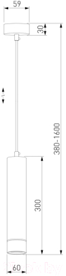 Потолочный светильник Elektrostandard DLN107 GU10