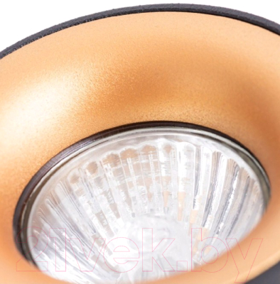 Точечный светильник Arte Lamp Torre A1532PL-1BK