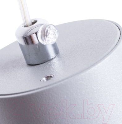 Потолочный светильник Arte Lamp Canopus A1516SP-1GY