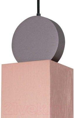 Потолочный светильник FAVOURITE Otium 2212-1P