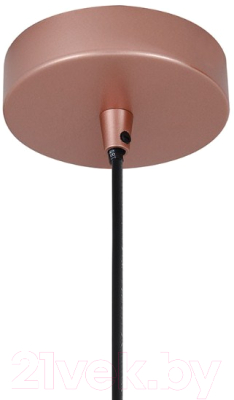 Потолочный светильник FAVOURITE Otium 2212-1P