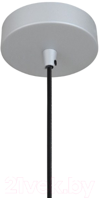 Потолочный светильник FAVOURITE Otium 2270-1P