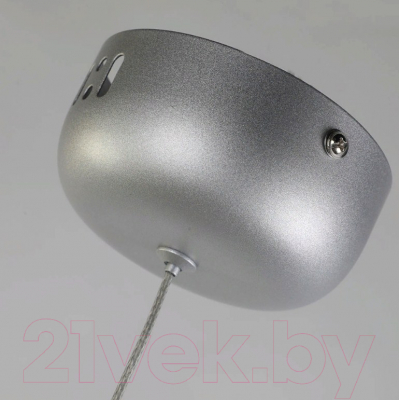 Потолочный светильник FAVOURITE Tibia 2216-1P