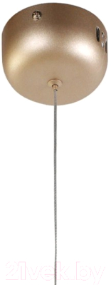 Потолочный светильник FAVOURITE Tibia 2217-1P