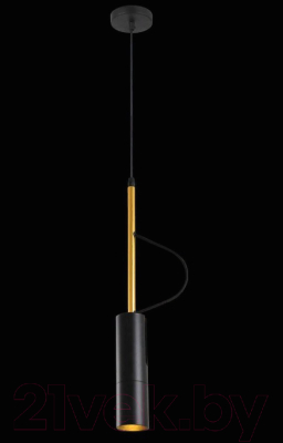 Потолочный светильник FAVOURITE Tube 2107-1P