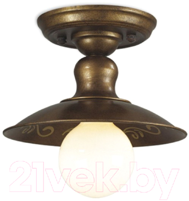 Потолочный светильник FAVOURITE Magrib 1214-1U - фото