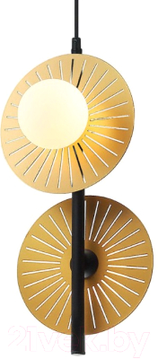 Потолочный светильник FAVOURITE Sonnenblume 2356-2P