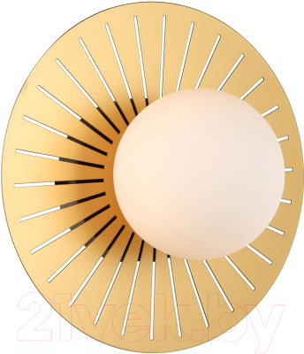 Светильник FAVOURITE Sonnenblume 2356-1W - фото