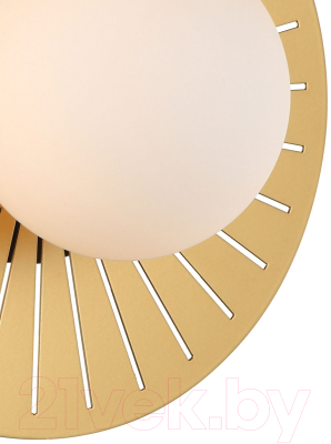 Светильник FAVOURITE Sonnenblume 2356-1W