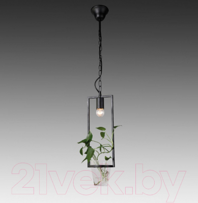 Потолочный светильник FAVOURITE Situla 1976-1P