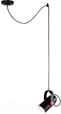 Потолочный светильник FAVOURITE Ampolla 2007-1P - фото