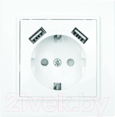 Розетка EKF Basic Минск СП 1-м 16А / ERR16-028-100-2USB - фото