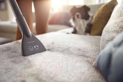 Пылесос Philips XB2042/01