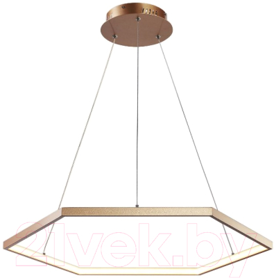 Потолочный светильник FAVOURITE Hexagon 2103-6P - фото