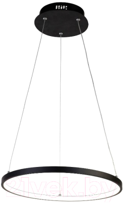 Потолочный светильник FAVOURITE Giro 1764-4P - фото