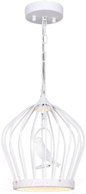 Потолочный светильник FAVOURITE Chick 1931-2P - фото