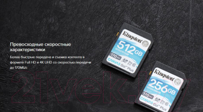 Карта памяти Kingston Canvas Go Plus SDXC (Class10) 128GB (SDG3/128GB)