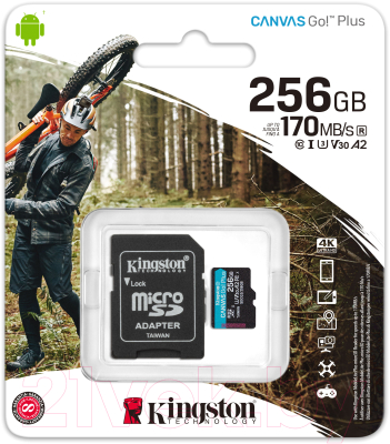 Карта памяти Kingston Canvas Go Plus microSDXC (Class10) 256GB (SDCG3/256GB)