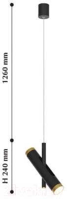 Потолочный светильник FAVOURITE Duplex 2324-2P