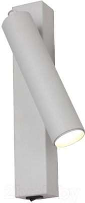 Спот FAVOURITE Specimen 2229-1W - фото