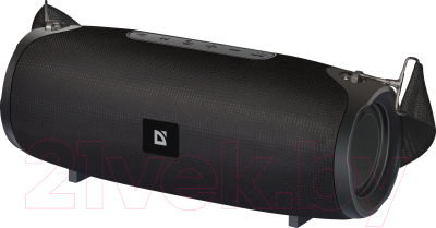 Портативная колонка Defender G22 / 65122 - фото