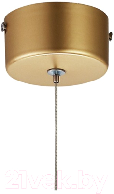 Потолочный светильник FAVOURITE Organ 2104-1P