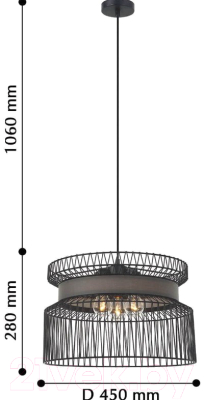 Люстра FAVOURITE Korb 2363-2P