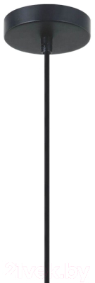 Люстра FAVOURITE Korb 2363-2P