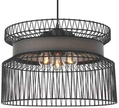 Люстра FAVOURITE Korb 2363-2P