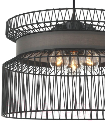 Люстра FAVOURITE Korb 2363-2P