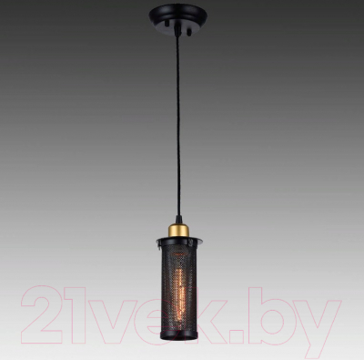 Потолочный светильник FAVOURITE Strainer 1788-1P