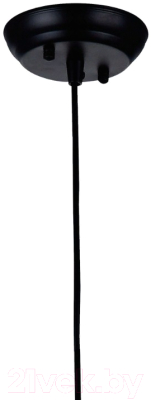 Потолочный светильник FAVOURITE Strainer 1788-1P