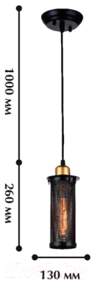 Потолочный светильник FAVOURITE Strainer 1788-1P