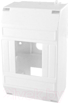 Бокс пластиковый TDM SQ0907-0112 - фото