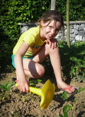 Грабли для песочницы Quut Triplet для песка и снега / 170037