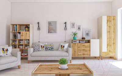 Шкаф Мебель-Неман Сканди МН-036-09