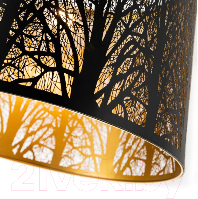 Потолочный светильник Arte Lamp Celesta A2769SP-1BK