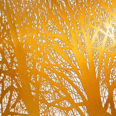 Потолочный светильник Arte Lamp Celesta A2769SP-1BK