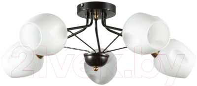 Люстра Arte Lamp Brighton A2706PL-5CK - фото